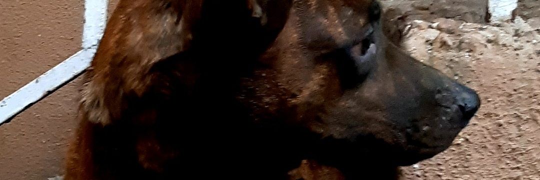 kuzy_2's profile banner image