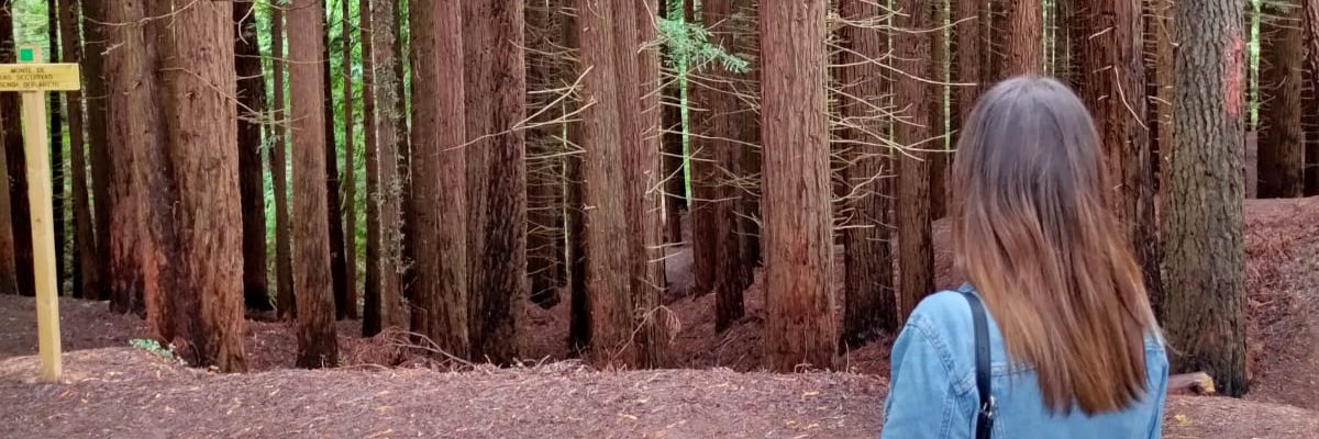 Neleb_4's profile banner image