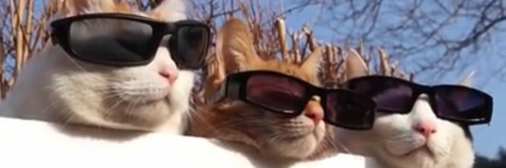 Pratik Thakur banner