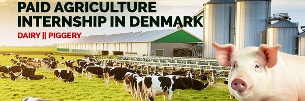 oddssharing Profile Banner