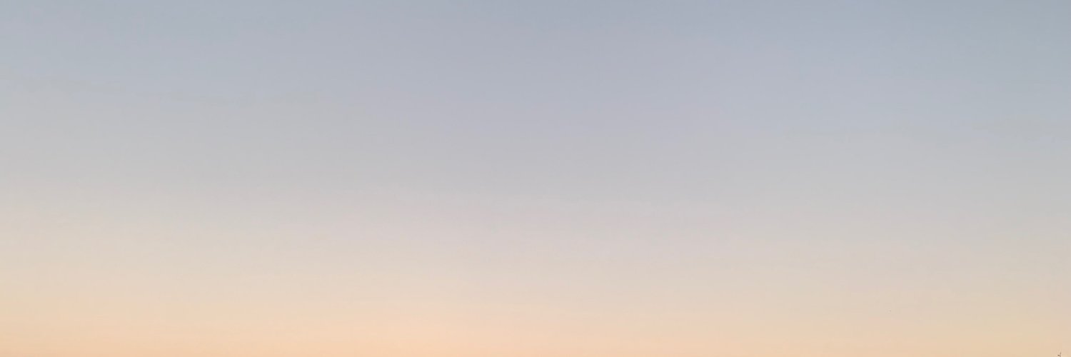 Lisa Sanchez banner