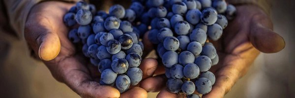 WineBusiness Profile Banner