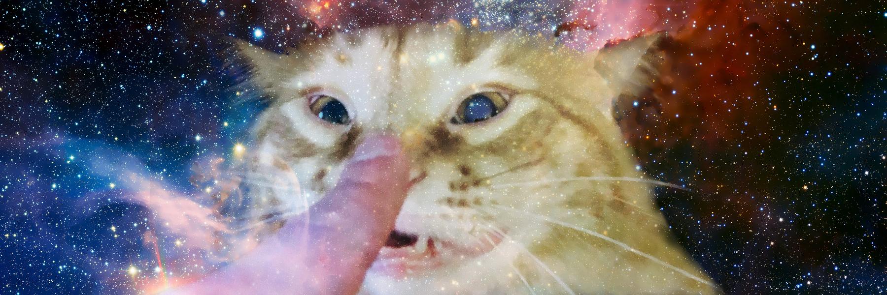 mentallychill's profile banner image