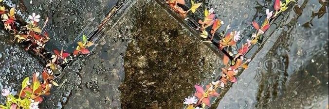 inem 𓆝 fsr wa banner