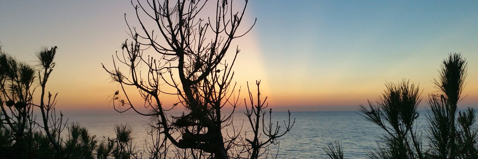 vuenne76's profile banner image