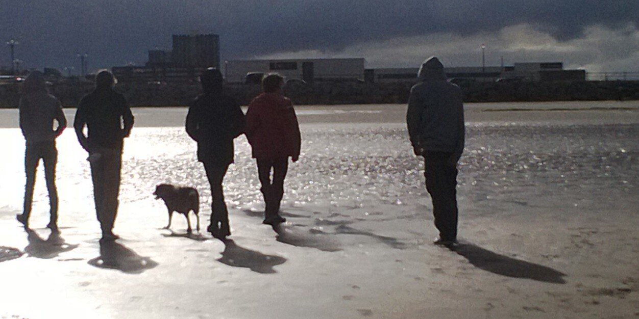 xylo Ⓥ🌱🇬🇧↪️ 🇪🇺@xylo@mas.to banner