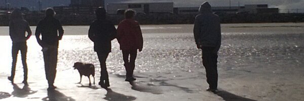 cooldownrat Profile Banner