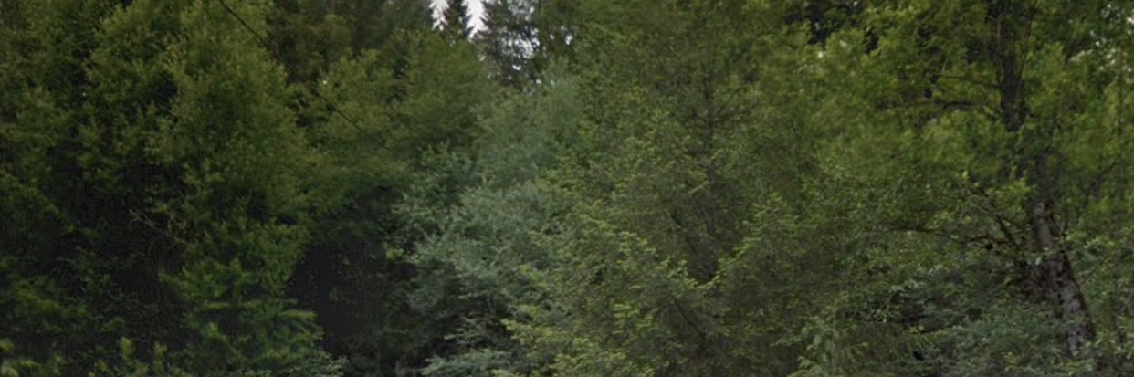 taylorebott's profile banner image