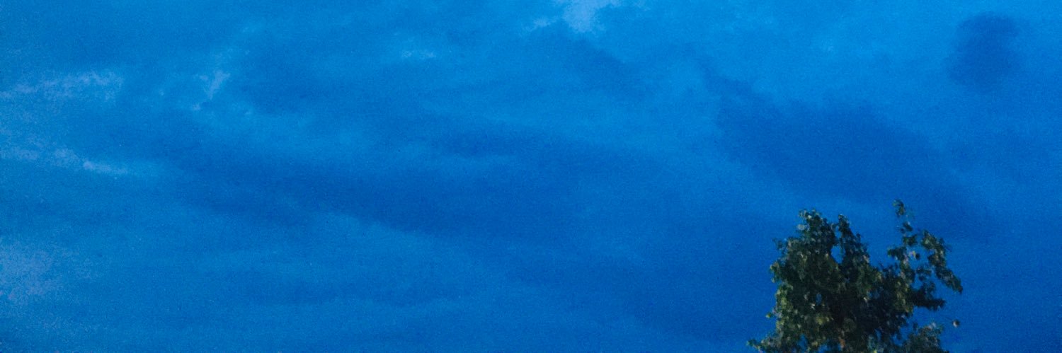 scheduler_anea's profile banner image