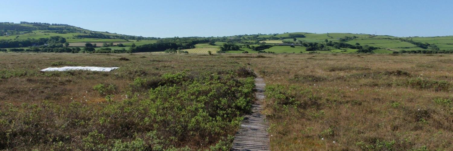 Angela Harris banner