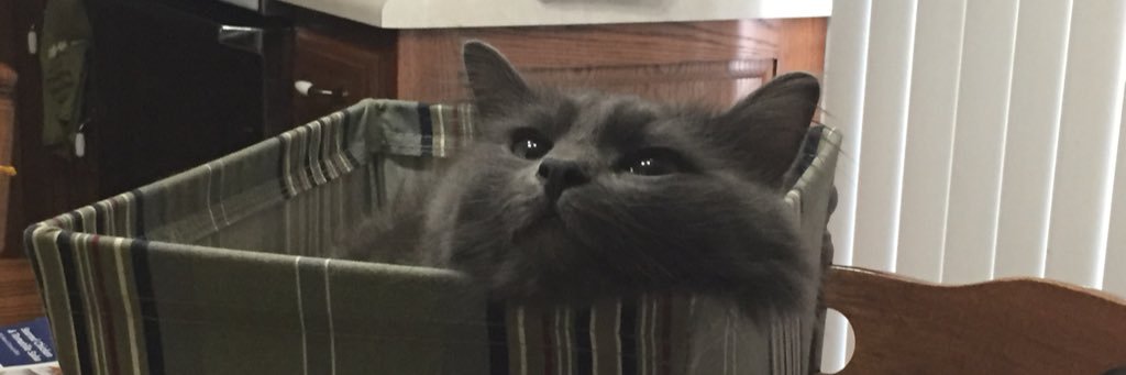 chadkillion's profile banner image