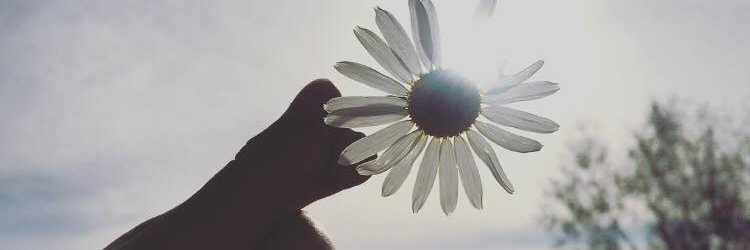 AnMichlova's profile banner image