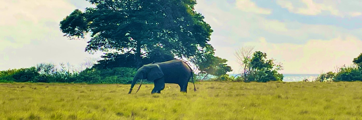 Jessica Ilunga banner