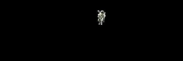 monigaag's profile banner image