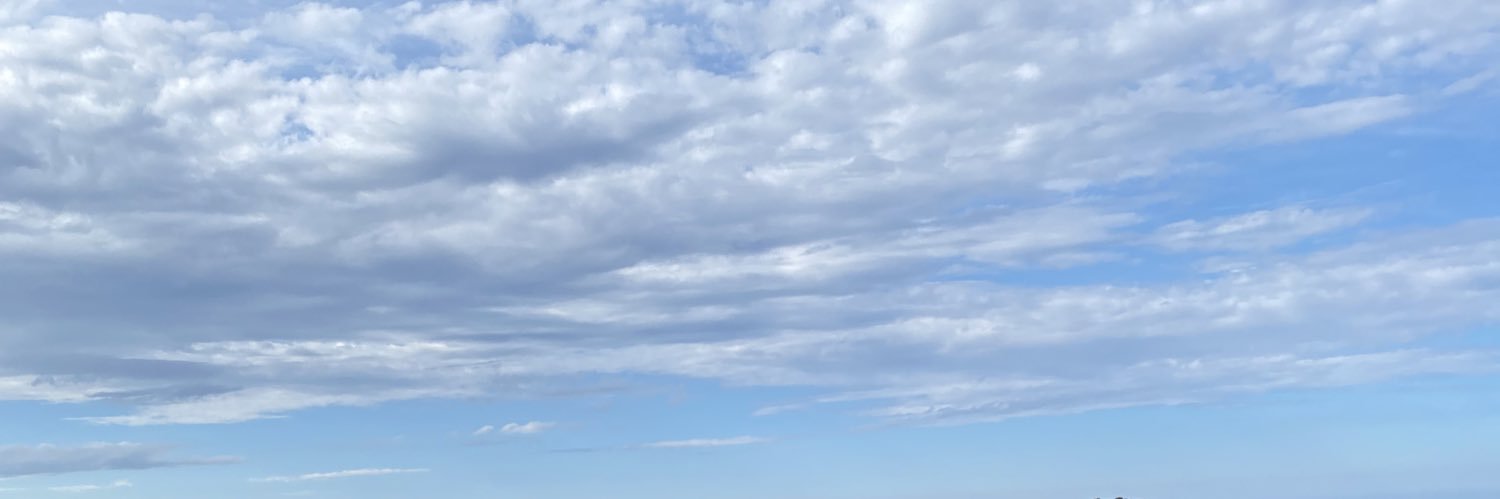 laurazuil's profile banner image