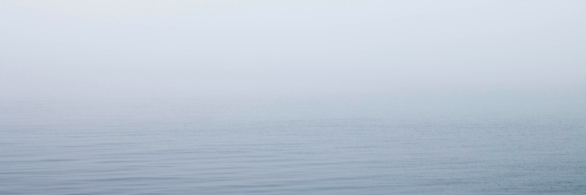 pablo banner