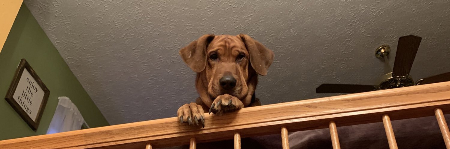 sloopheatherb's profile banner image