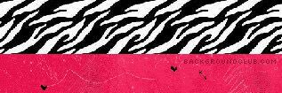 liz_fitt's profile banner image