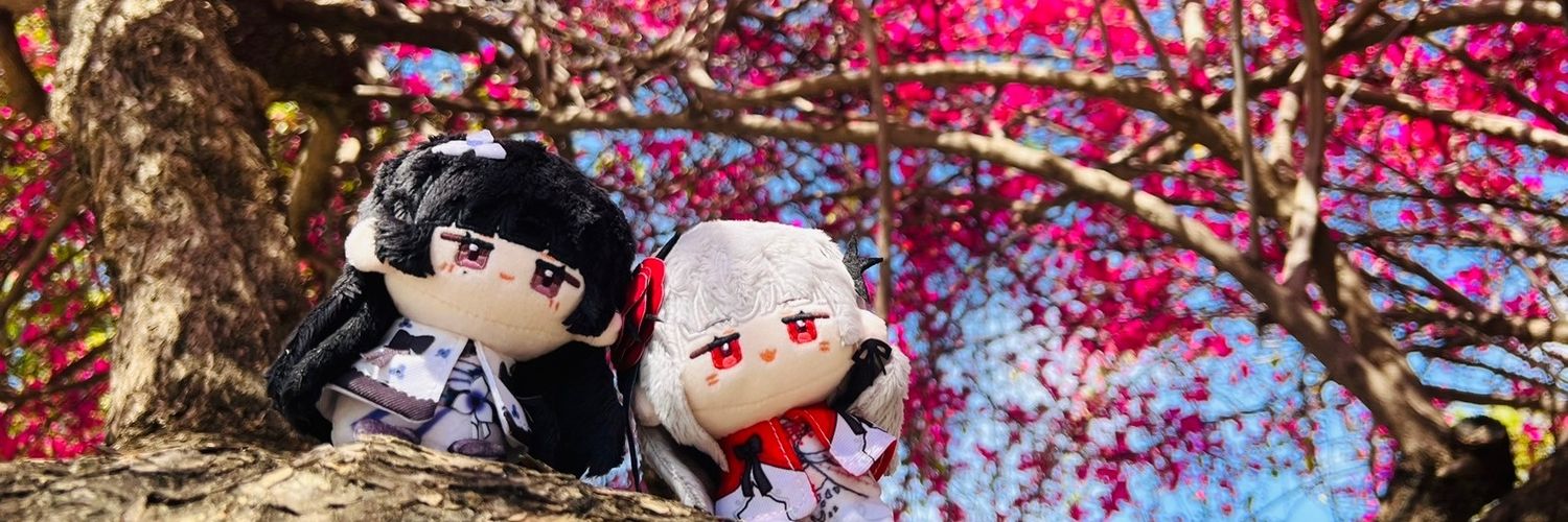 カシ*˖サブ banner