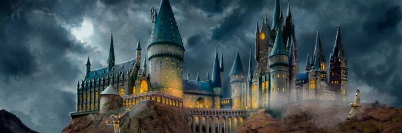 Dumbledore’s magic 🧙‍♂️ banner