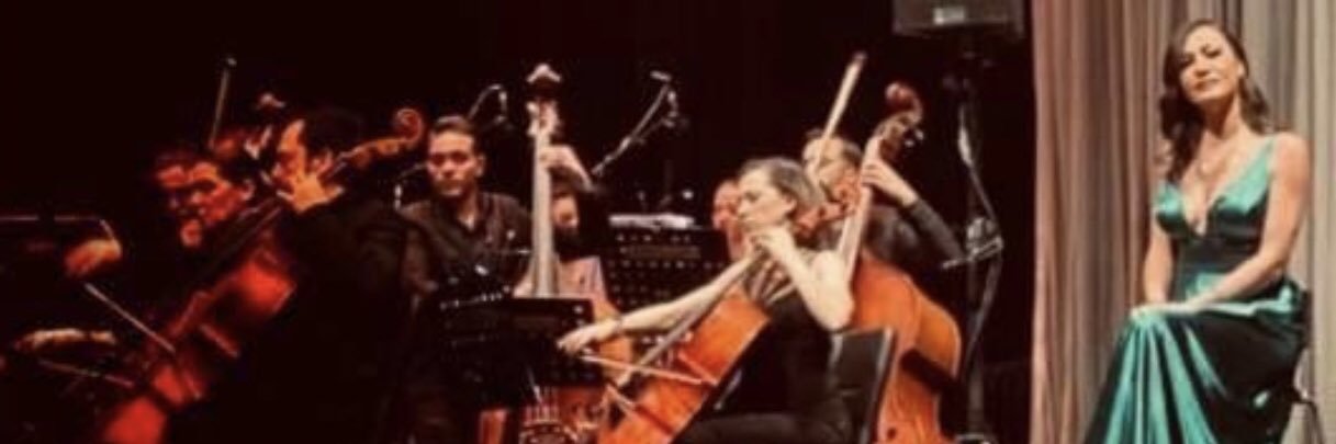 ZeynepHalvasi's profile banner image