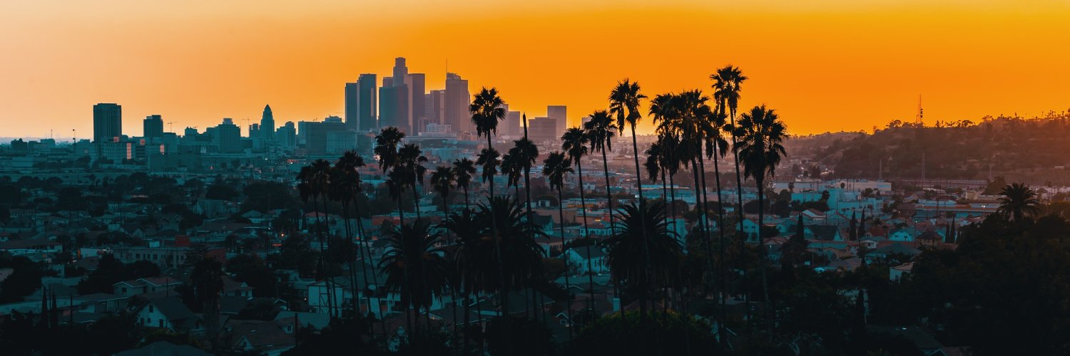 Laurent Alexandre 🇫🇷🇺🇸 banner