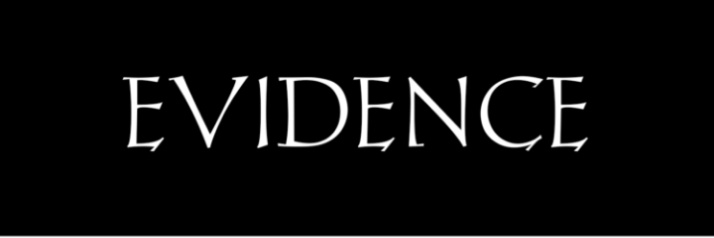 Evidence Adeleke banner