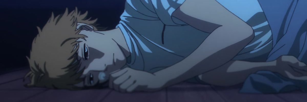 ²¹³ banner