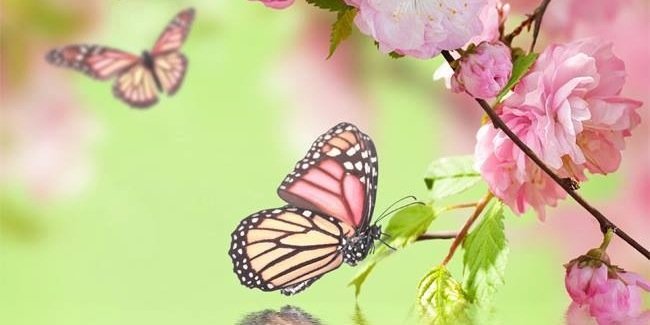 Claire Wienand banner