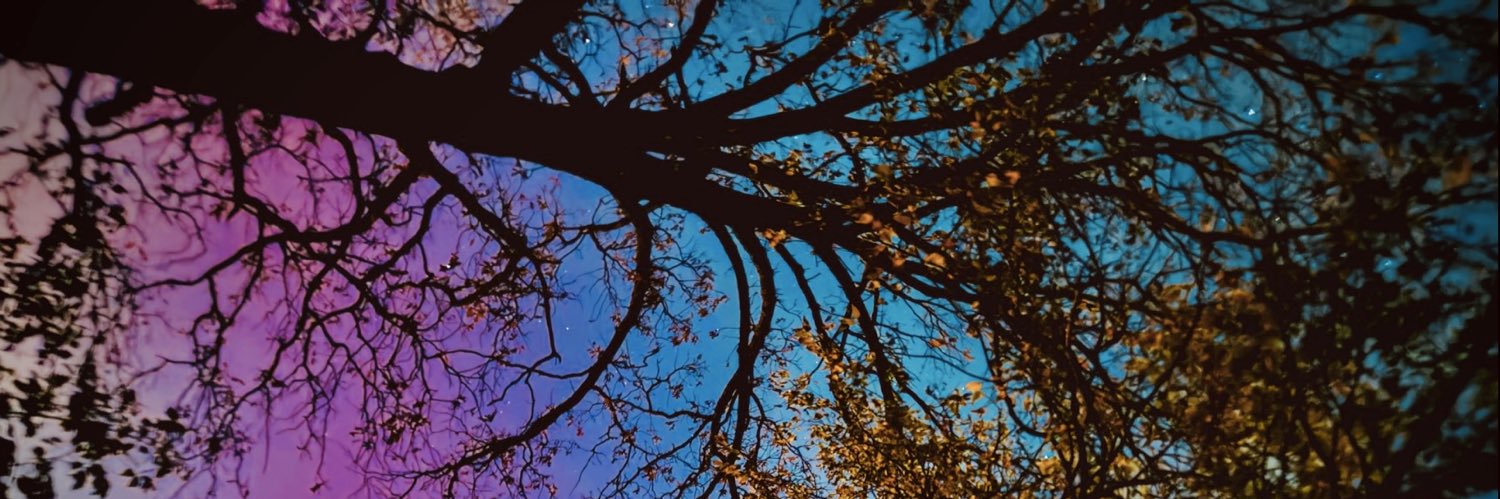 TheWildThingsRN's profile banner image