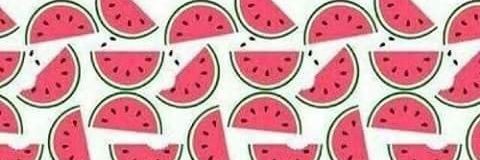 fabiolaorrala's profile banner image