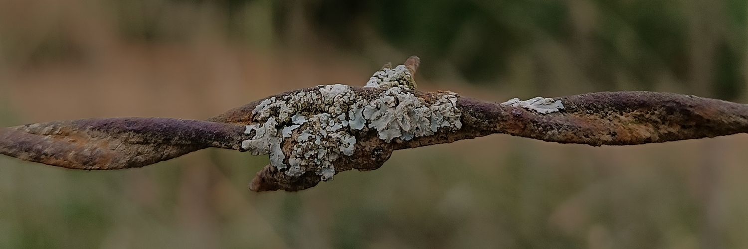 Estampido's profile banner image
