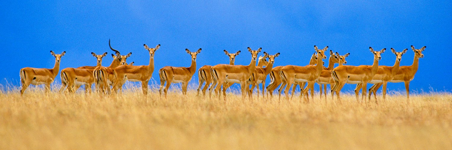 Frans Lanting banner