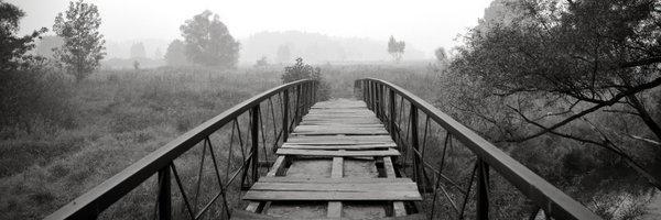 StratocasterM68 Profile Banner