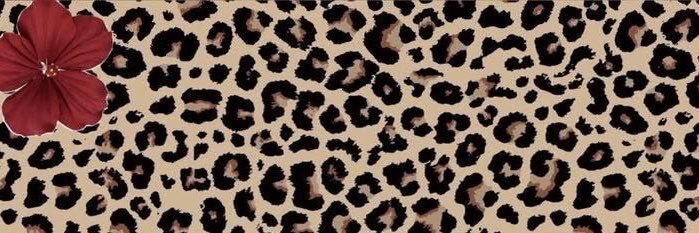 DeborahMiljvmt's profile banner image