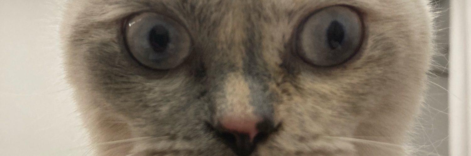 dogandayan's profile banner image