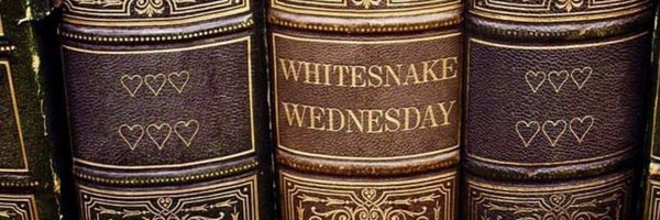whitesnake1004 Profile Banner