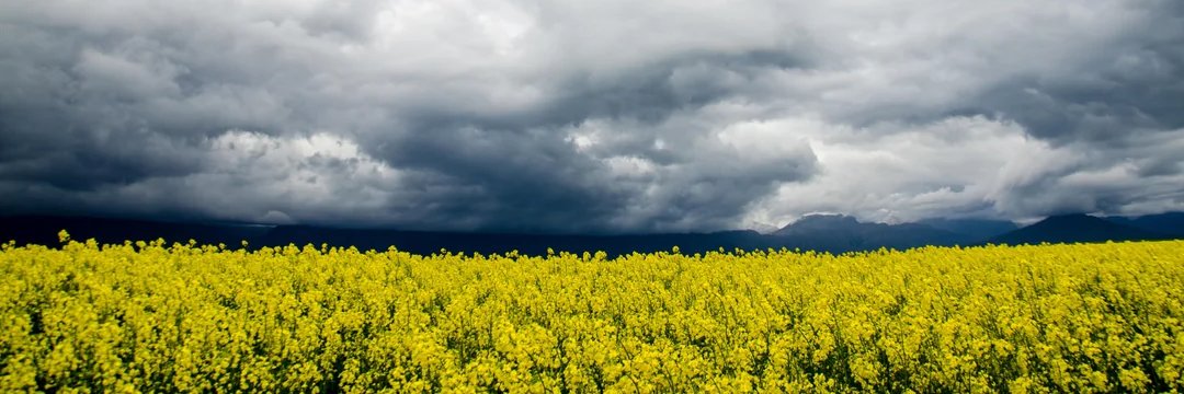 Kuber_Boer's profile banner image
