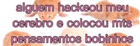 thata banner