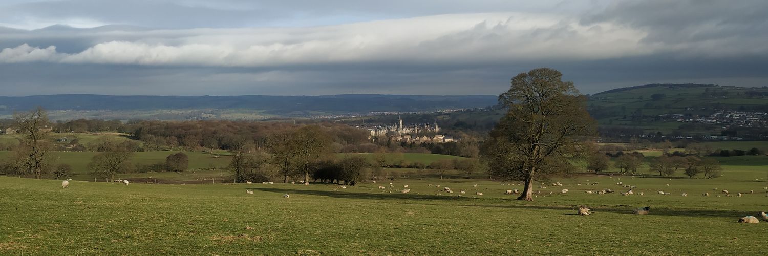 Sam Pickering banner