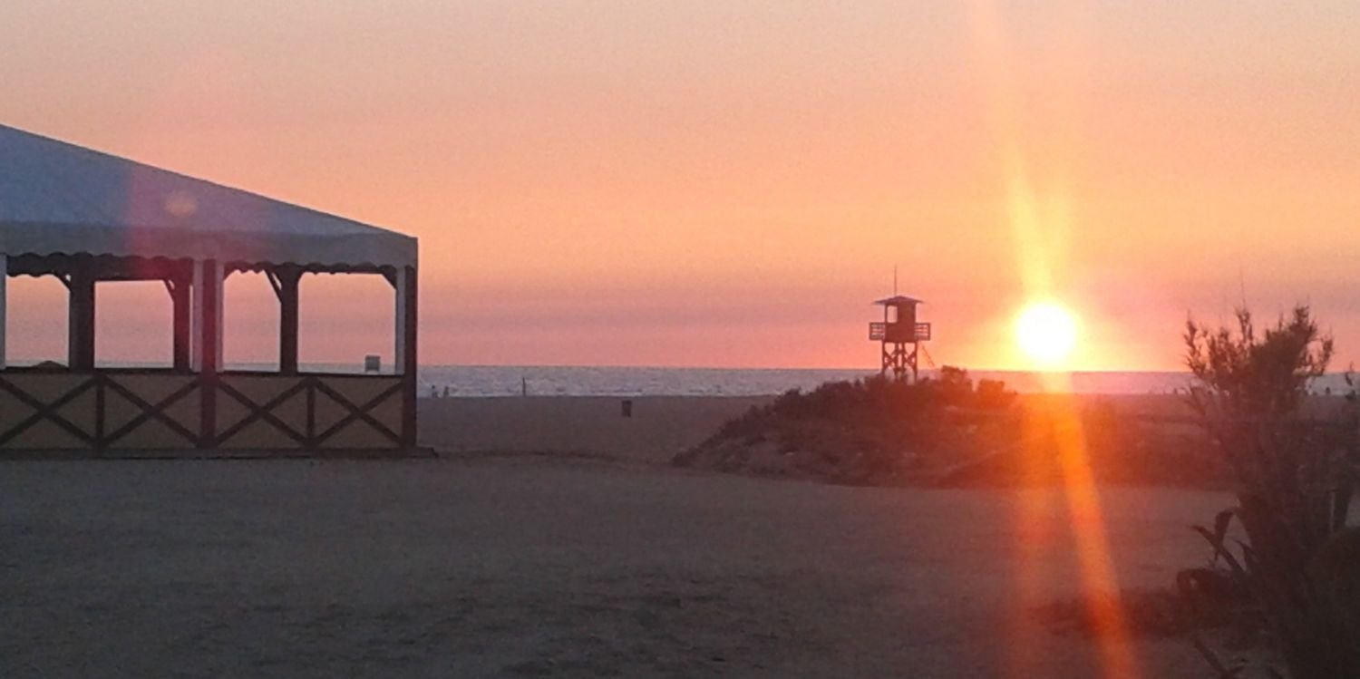 Mer Martinez banner