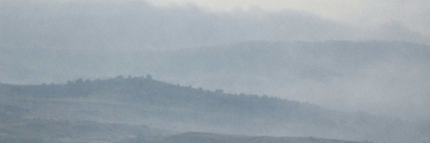 mrowlreal's profile banner image