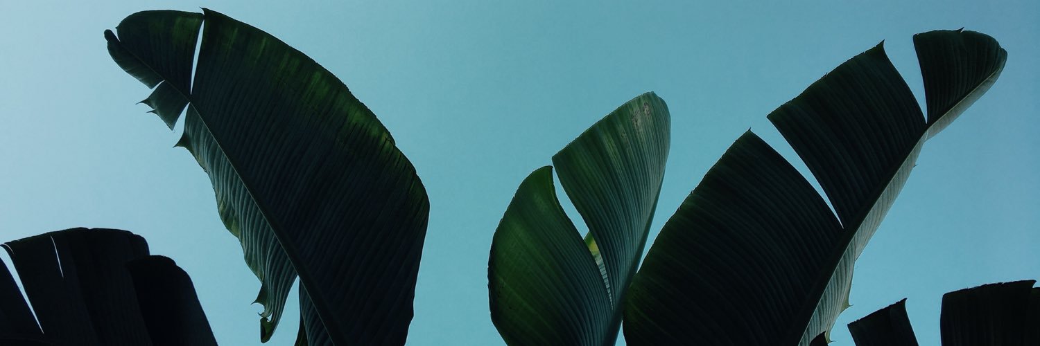 missmouse19's profile banner image