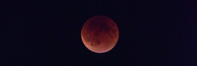 beemarie33's profile banner image