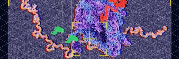 Transfidelity_ Profile Banner