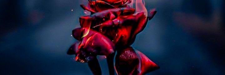 Adeben_official's profile banner image