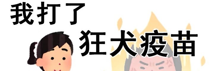 扫黑大队长胡图图 banner