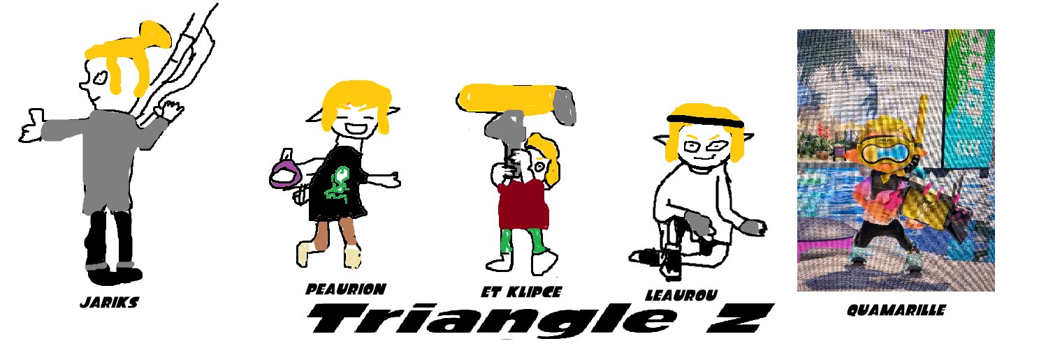 Triangle Z banner