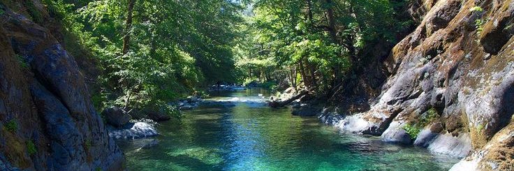 Robin Justice🌍 banner