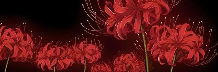 Princess_Helle's profile banner image